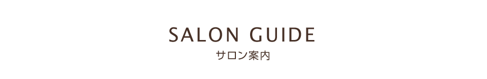 SALON GUIDE